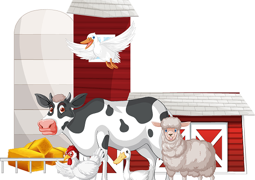 feedlot